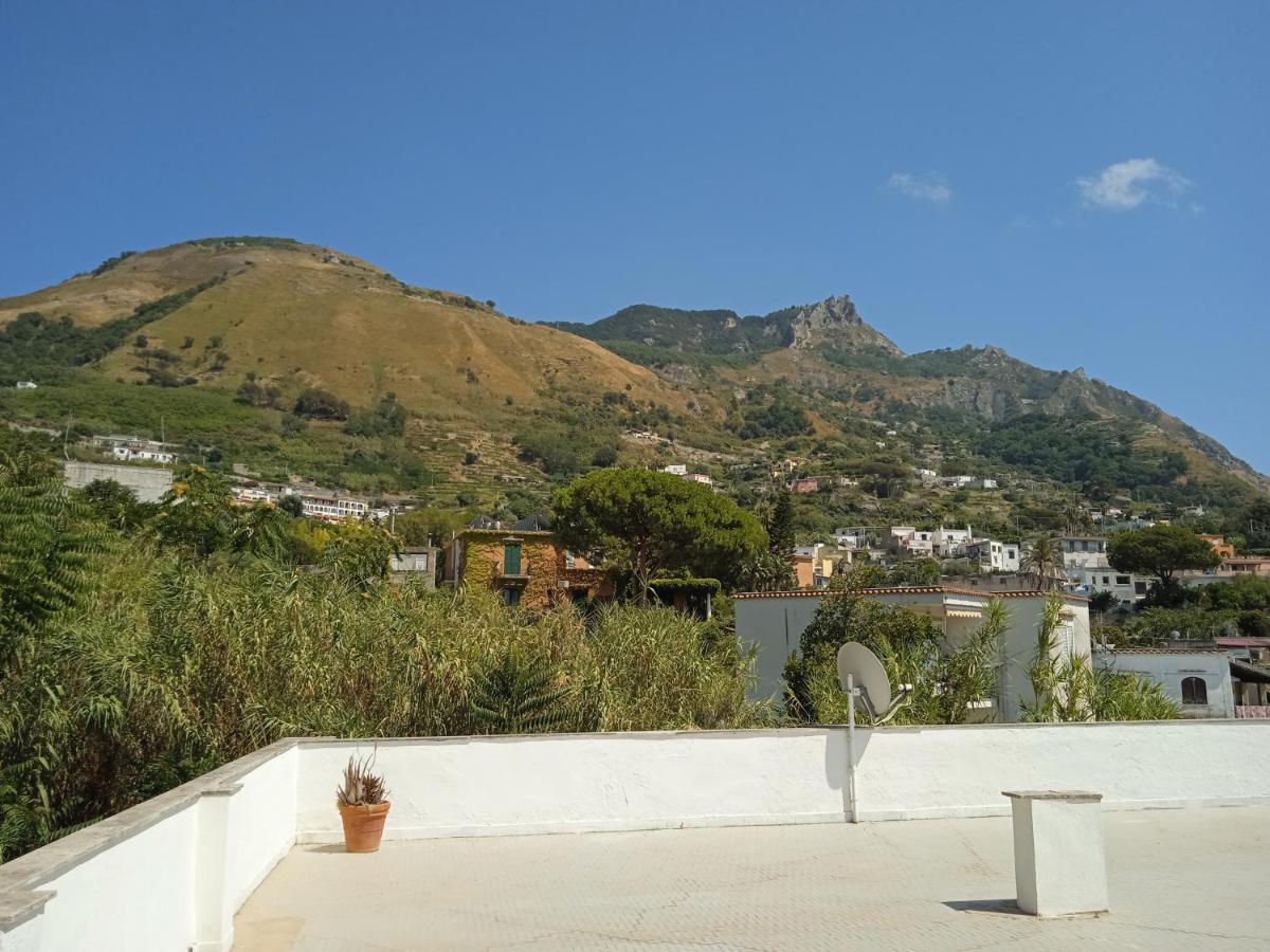 Villa Thomas Bb Conduzione Familiare Forio di Ischia Buitenkant foto
