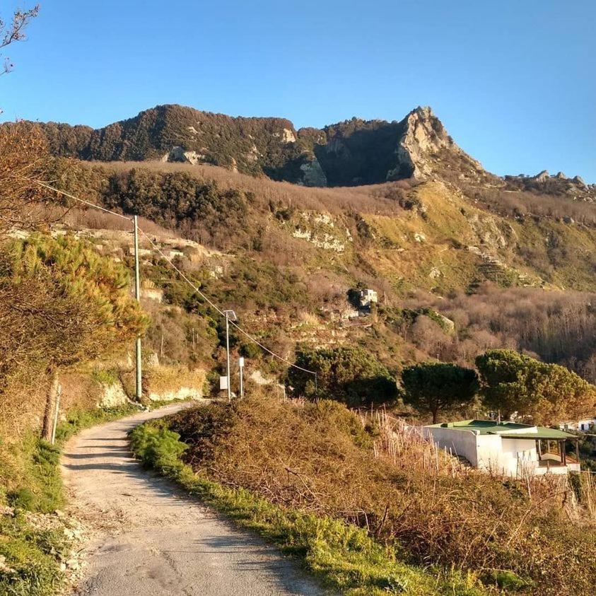Villa Thomas Bb Conduzione Familiare Forio di Ischia Buitenkant foto