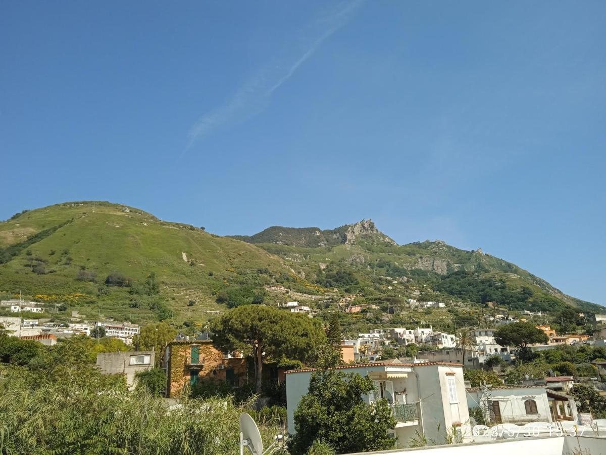 Villa Thomas Bb Conduzione Familiare Forio di Ischia Buitenkant foto