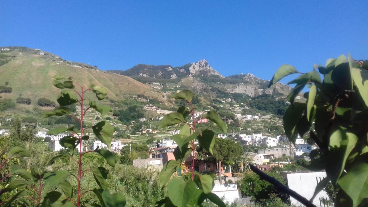 Villa Thomas Bb Conduzione Familiare Forio di Ischia Buitenkant foto