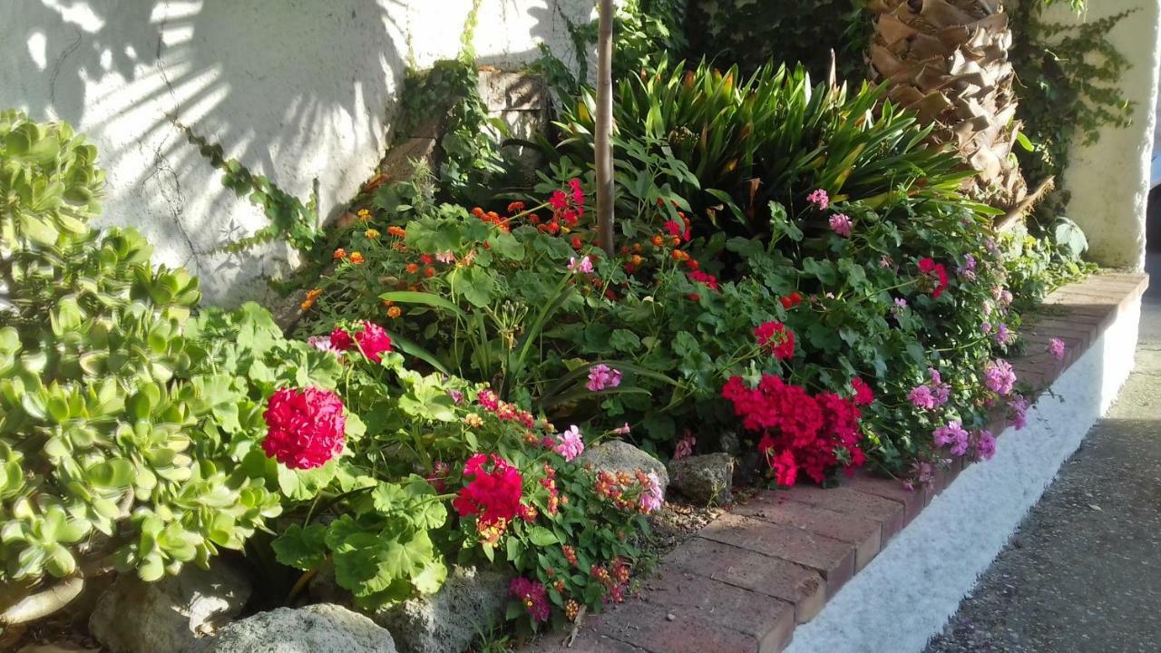 Villa Thomas Bb Conduzione Familiare Forio di Ischia Buitenkant foto